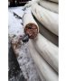 ПВ 3 нгд 1х150 Провод установочный ПВ 3 нгд 1*150 Провод медный Кабель медный - цена 5.00 грн. , купить в наличии ПВ 3 нгд 1х150 Провод установочный ПВ 3 нгд 1*150 Провод медный Кабель медный – полное описание и технические характеристики
