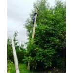 Електромонтажні роботи провід сіп